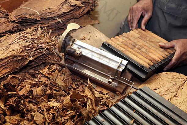 Cigar making